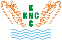Company name